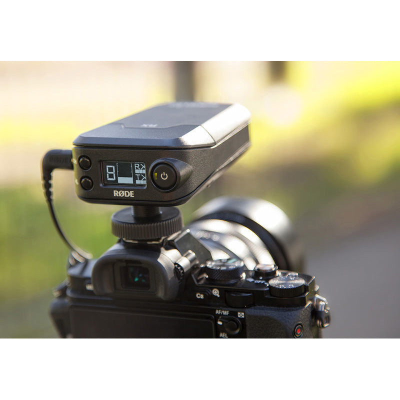 RODE Link Newsshooter Kit