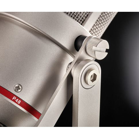 Neumann TLM 170 R mt stereo set