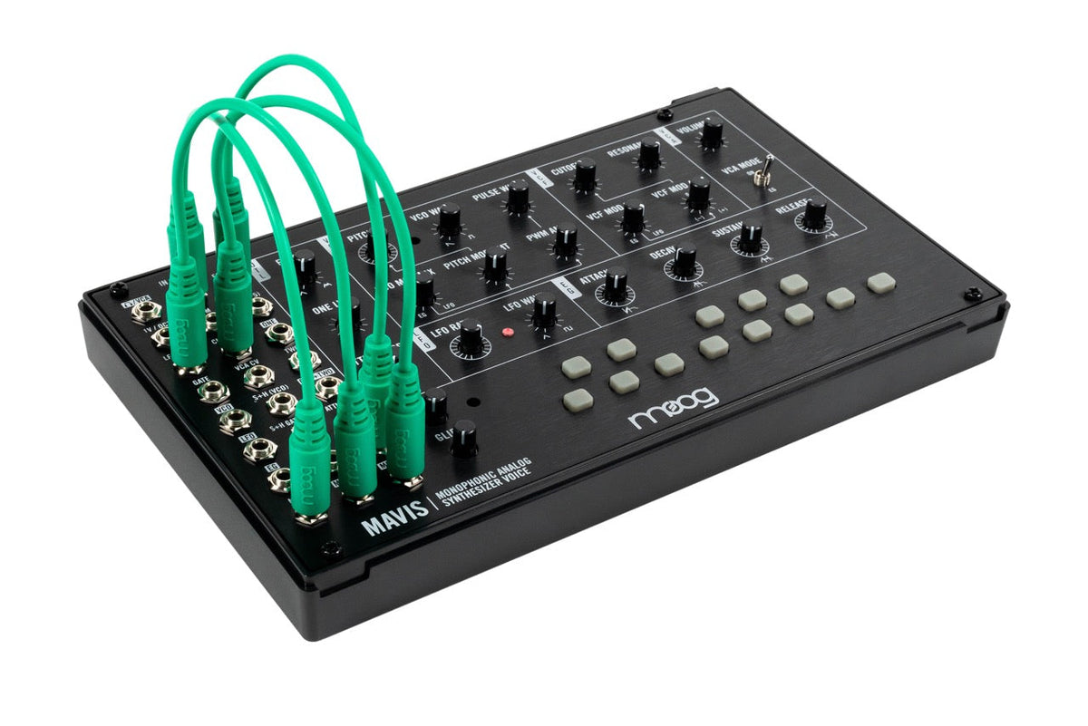 Moog Mavis