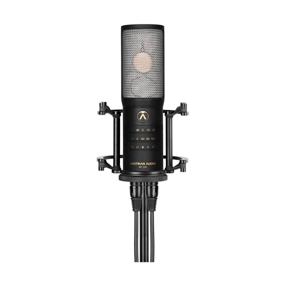 Austrian Audio OC-S10 Studio Set