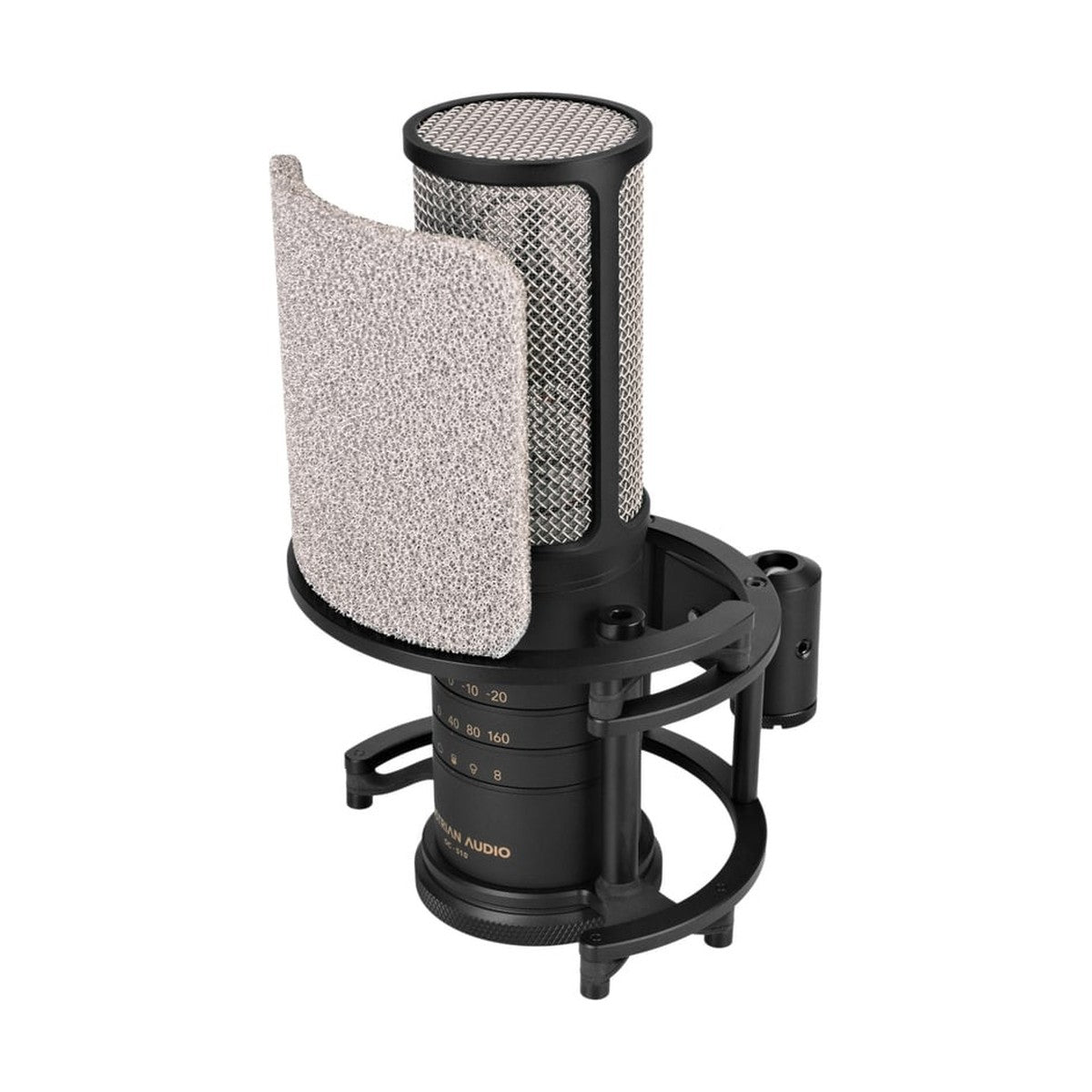 Austrian Audio OC-S10 Studio Set