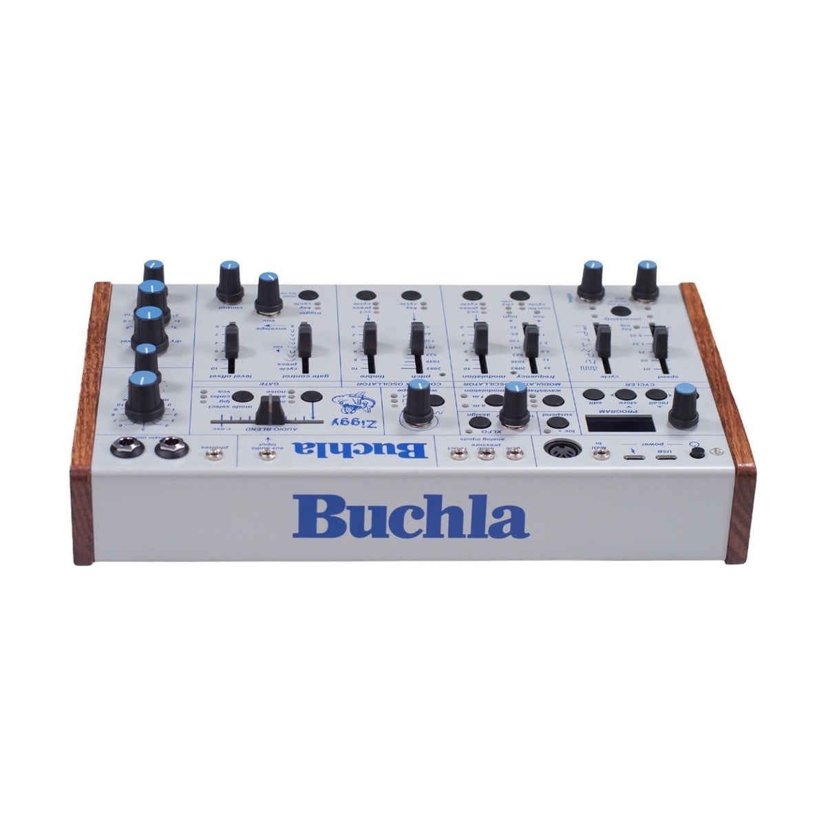 Buchla Ziggy