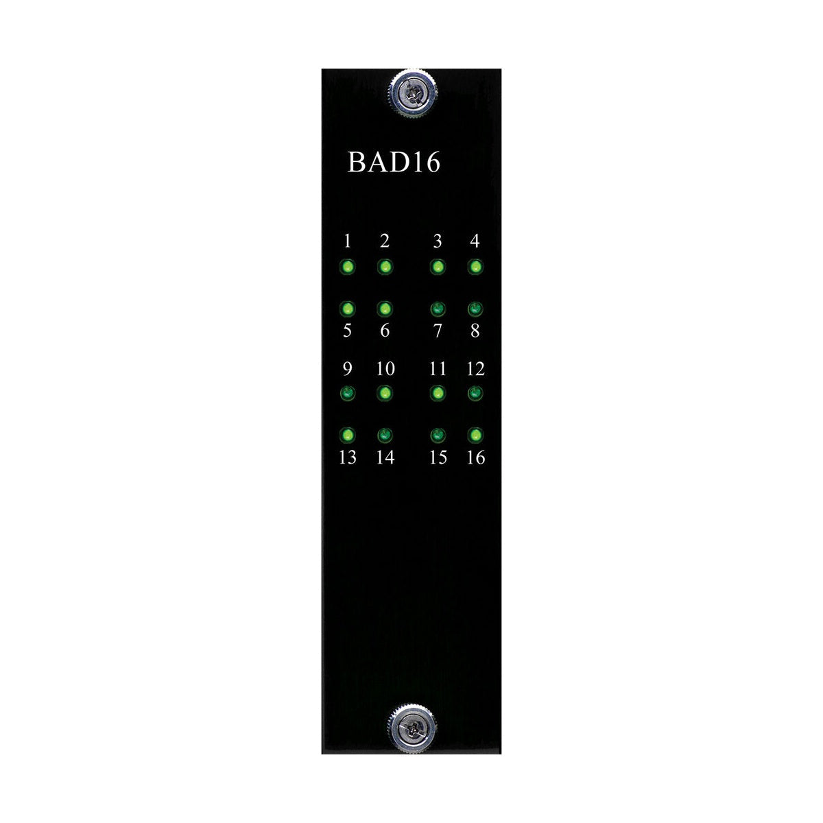 Burl Audio B80-BAD16