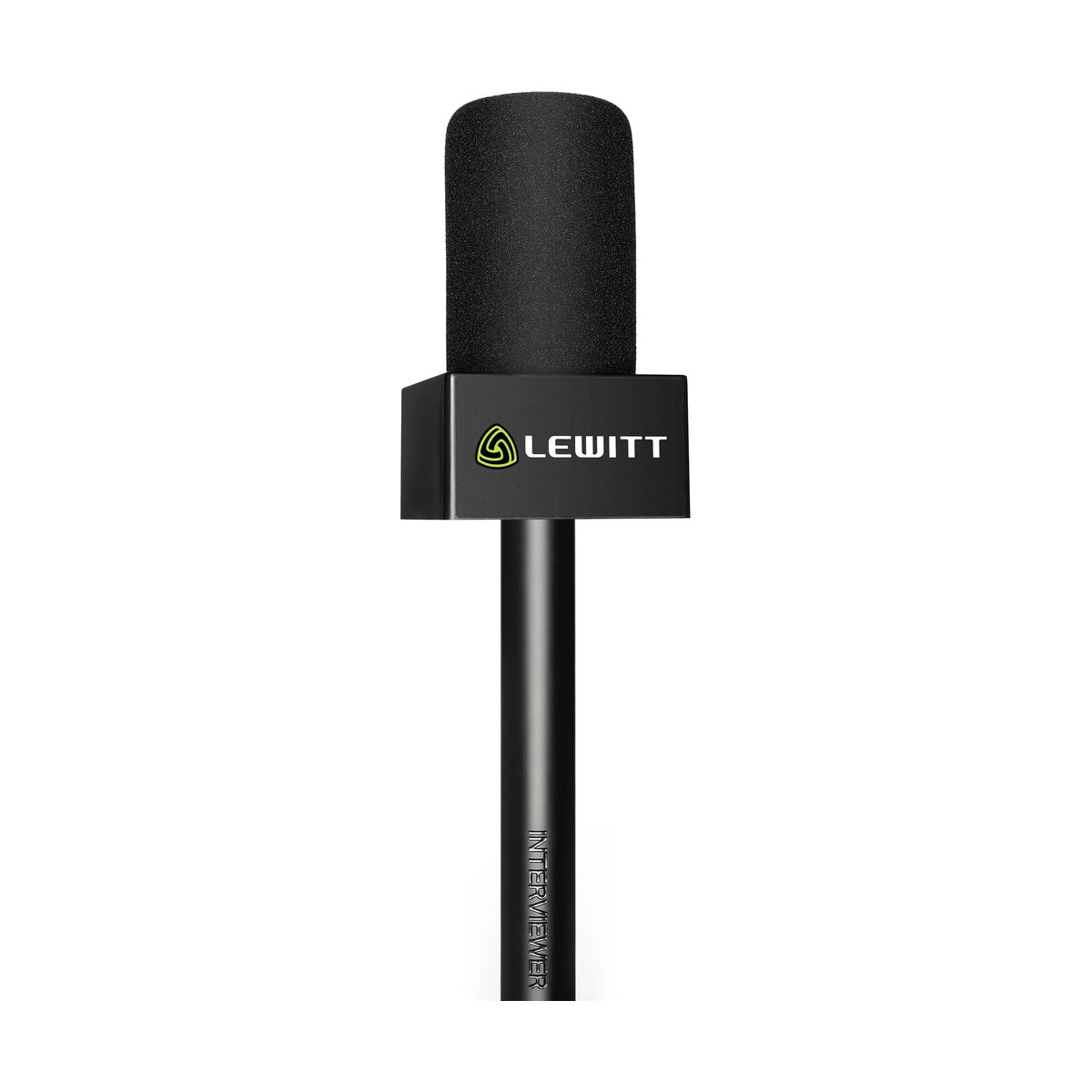 LEWITT INTERVIEWER