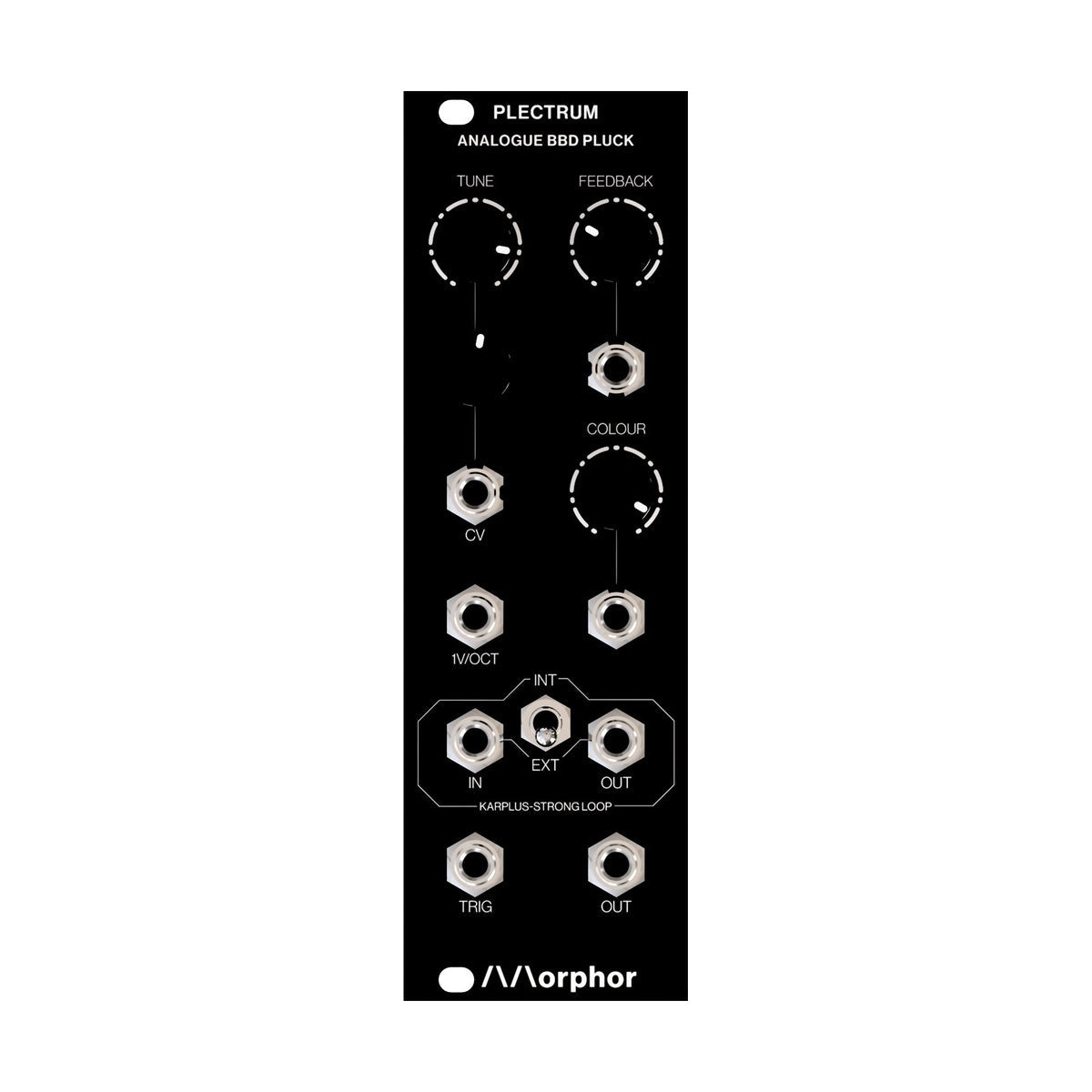 Morphor PLECTRUM