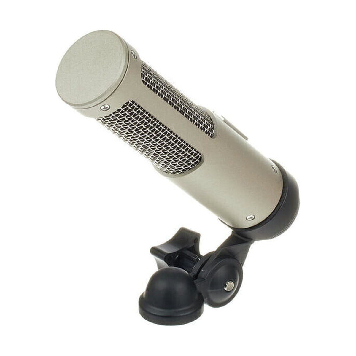 Royer Labs R10