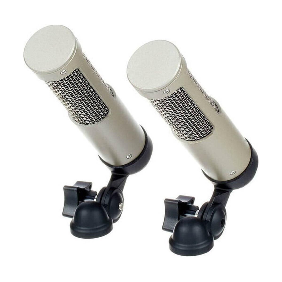 Royer Labs R10 Matched Pair