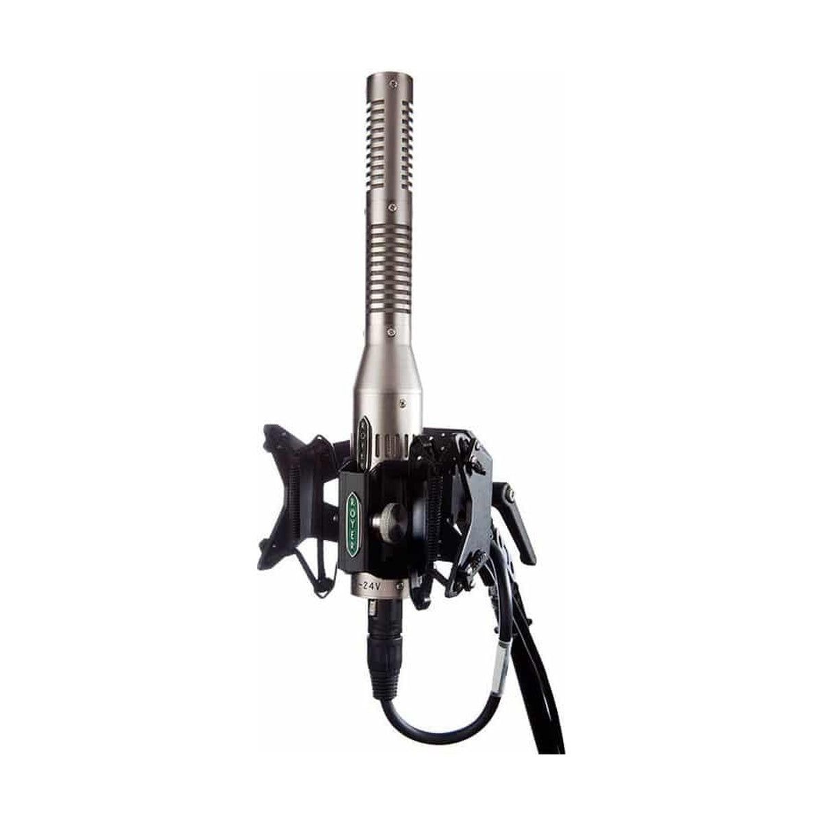 Royer Labs RSM-SS24