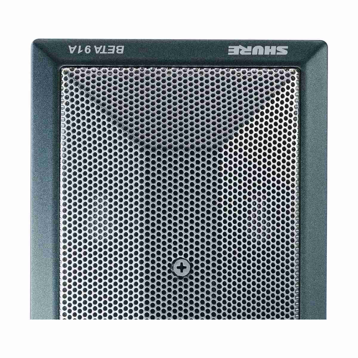 Shure BETA91A