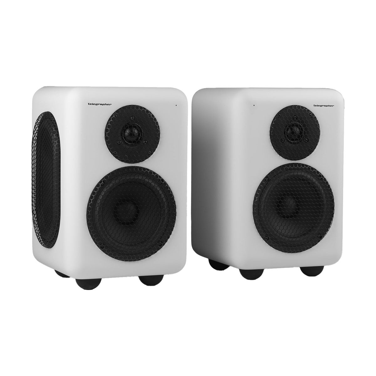 Telegrapher Raccoon 2-way Active Studio Monitor