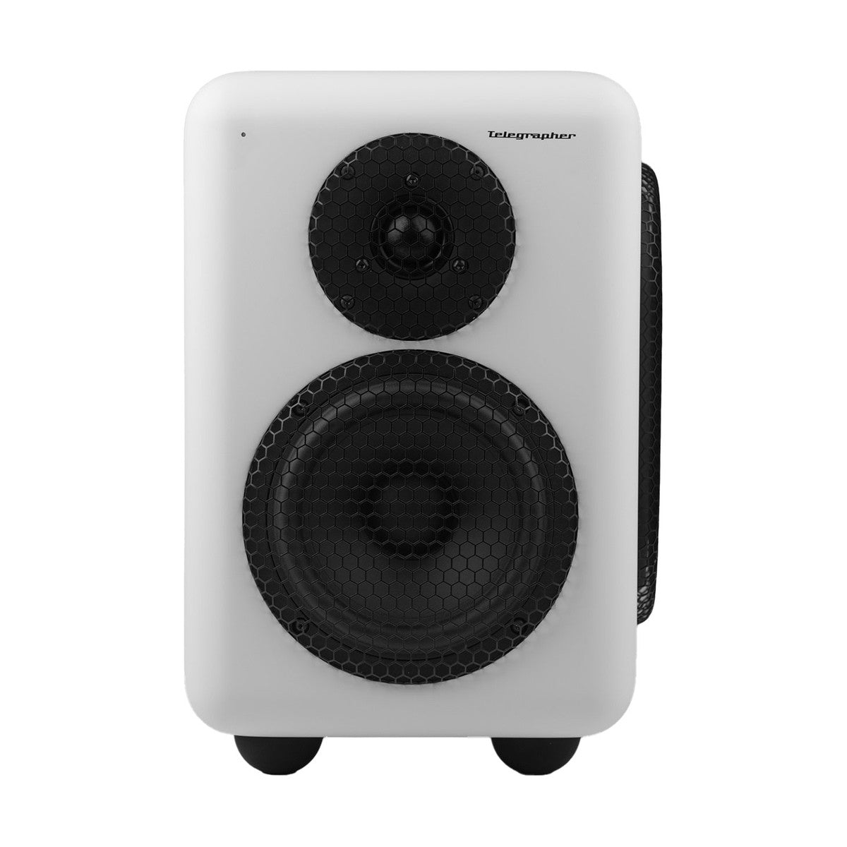 Telegrapher Raccoon 2-way Active Studio Monitor