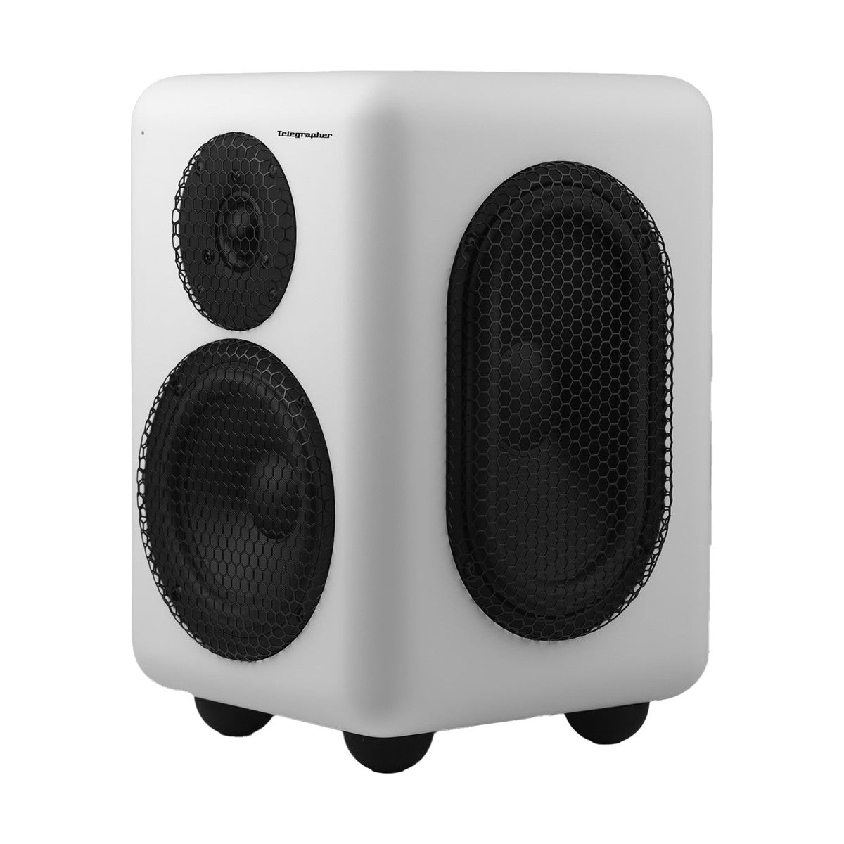 Telegrapher Raccoon 2-way Active Studio Monitor